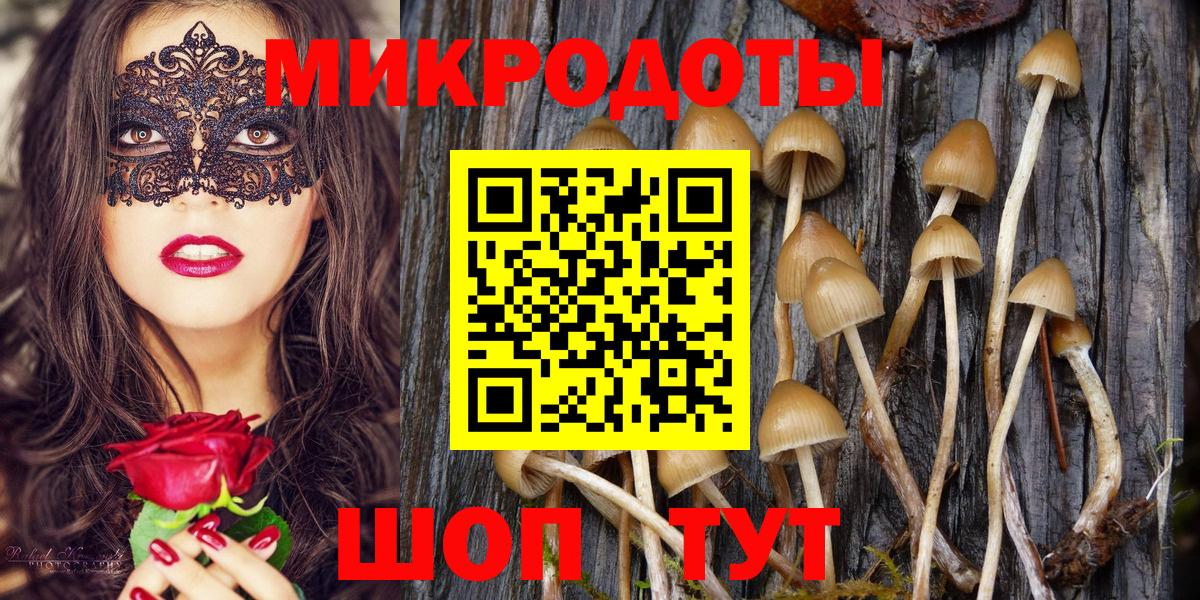 Псилоцибиновые грибы прущие грибы  Вход с VPN  Псилоцибиновые грибы прущие грибы  Верхняя Пышма 